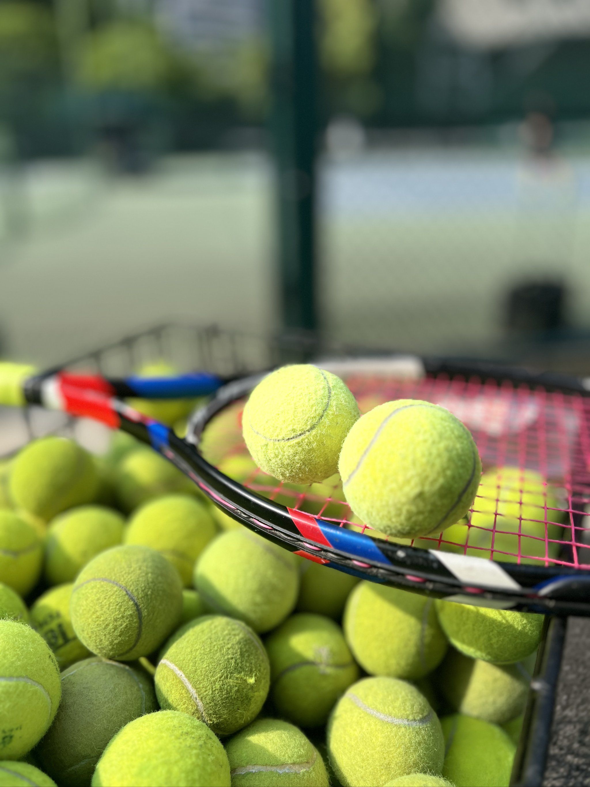 技和稳健心 技和稳健心