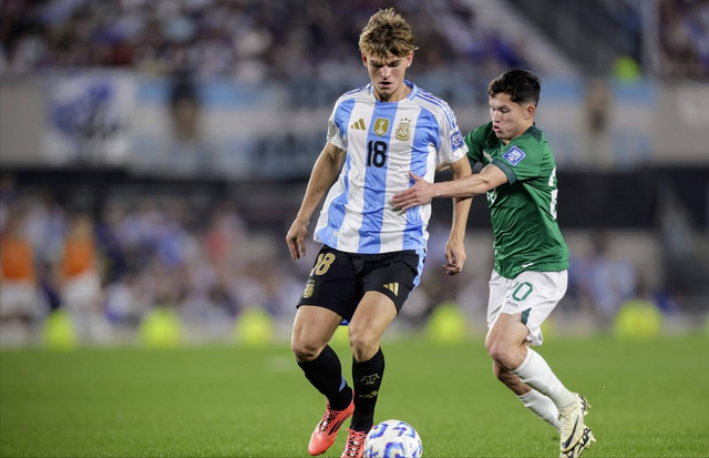 域进行评估 域进行评估