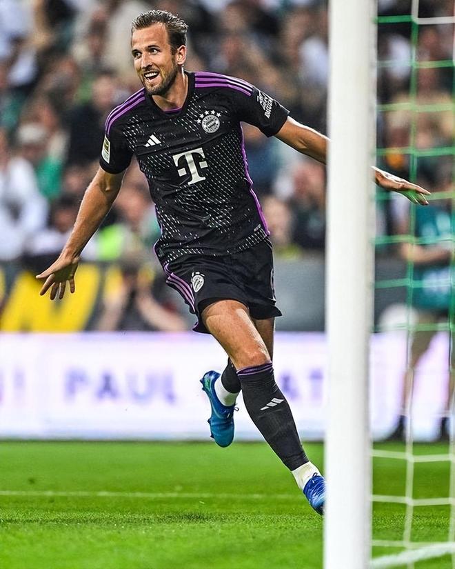 理韧性培养 理韧性培养